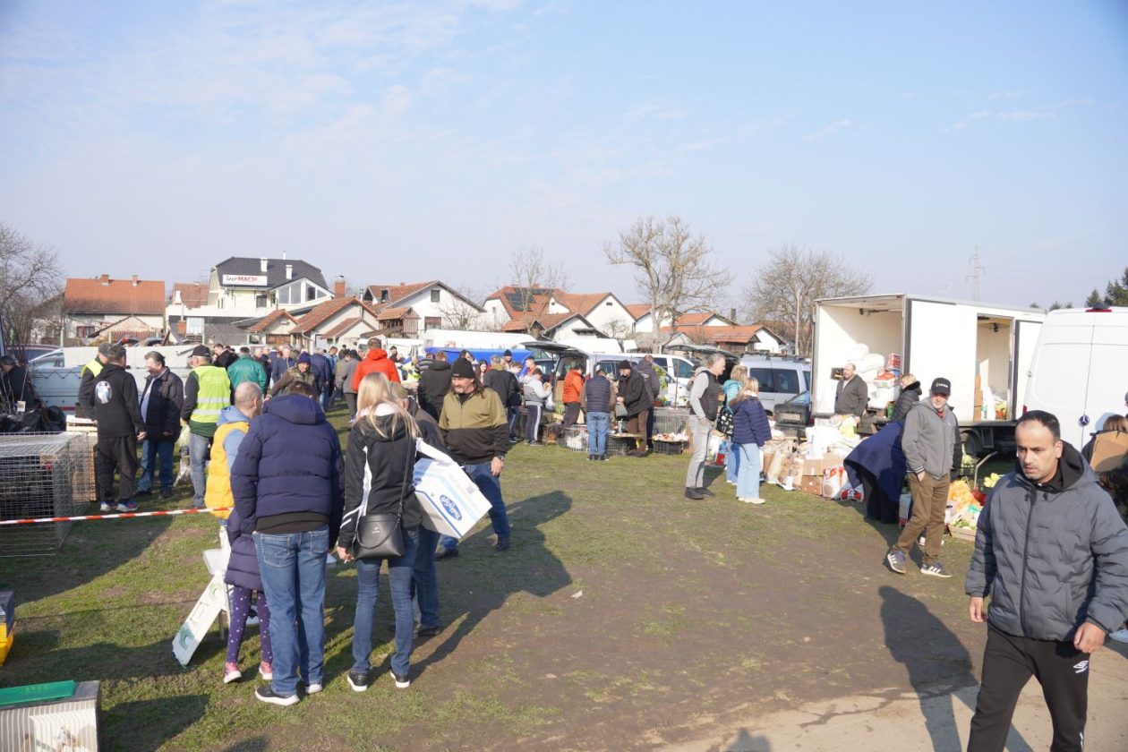 Izložba malih životinja MESAP 1.3.2026 (2) Izložba malih životinja MESAP 1.3.2026 (2)