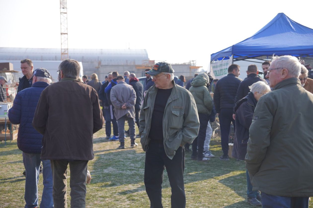 Izložba malih životinja MESAP 1.3.2026 (31) Izložba malih životinja MESAP 1.3.2026 (31)