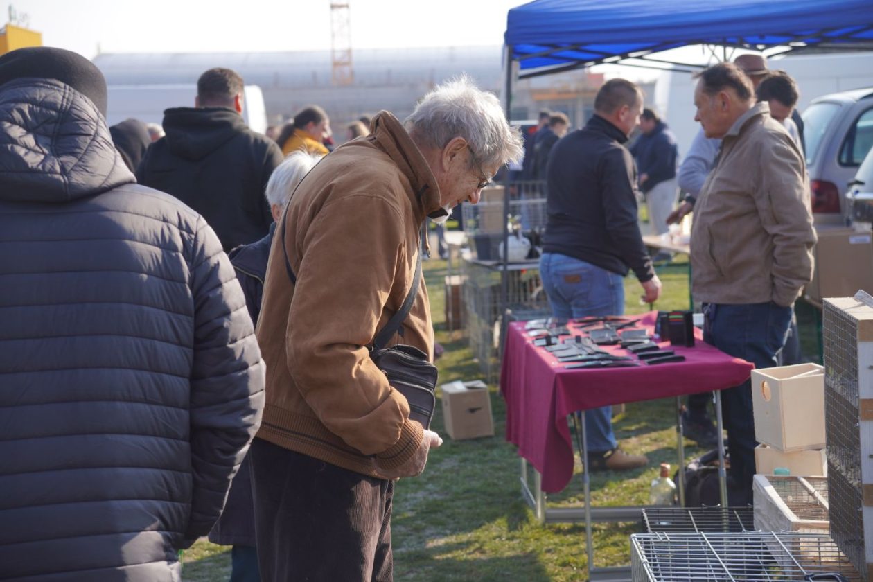 Izložba malih životinja MESAP 1.3.2026 (33) Izložba malih životinja MESAP 1.3.2026 (33)