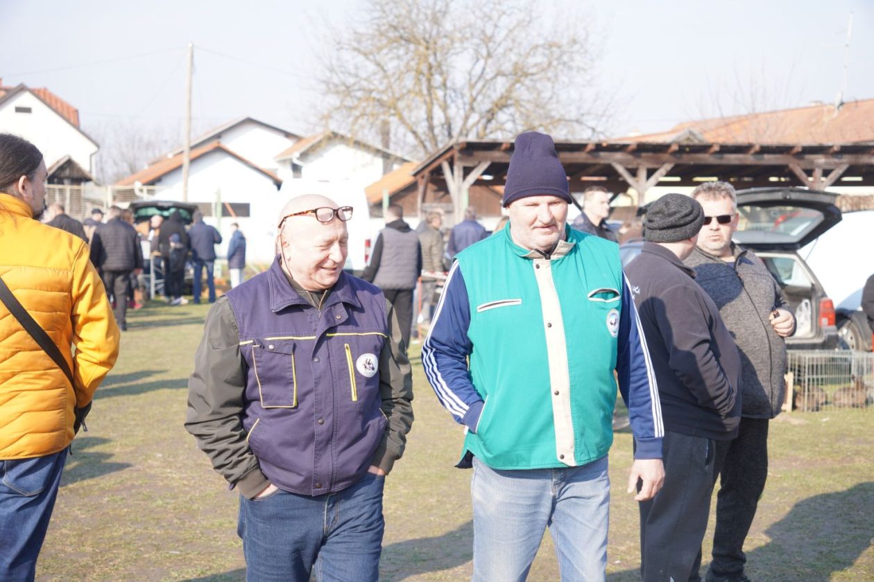 Izložba malih životinja MESAP 1.3.2026 (41) Izložba malih životinja MESAP 1.3.2026 (41)