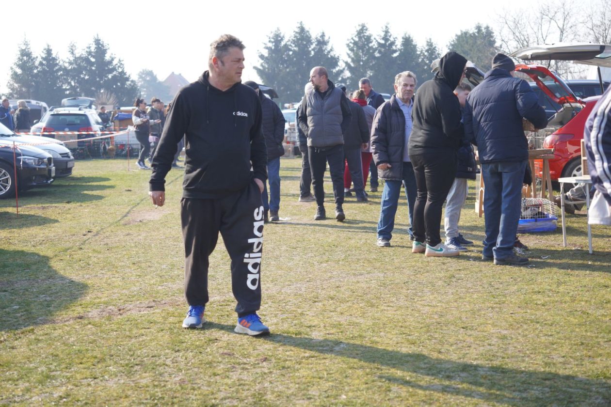 Izložba malih životinja MESAP 1.3.2026 (46) Izložba malih životinja MESAP 1.3.2026 (46)