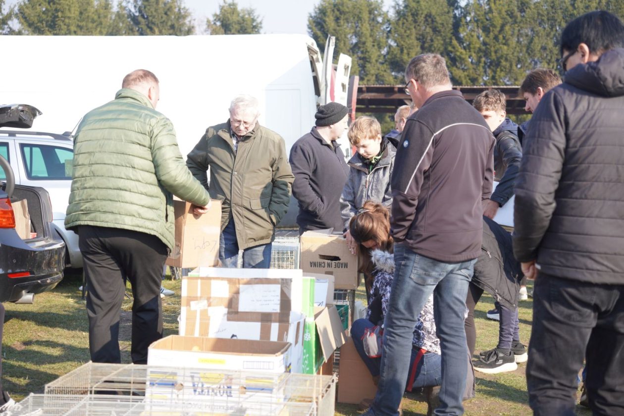 Izložba malih životinja MESAP 1.3.2026 (48) Izložba malih životinja MESAP 1.3.2026 (48)