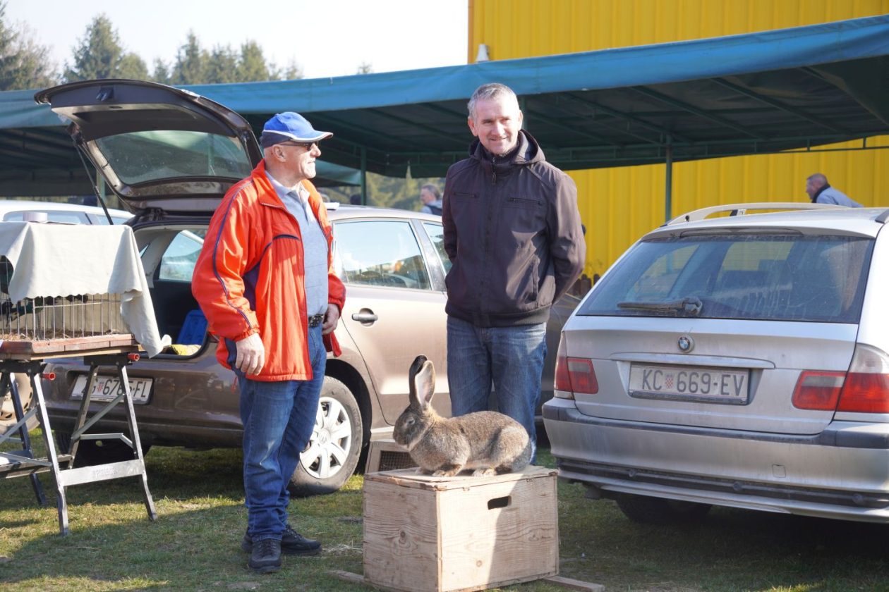 Izložba malih životinja MESAP 1.3.2026 (52) Izložba malih životinja MESAP 1.3.2026 (52)