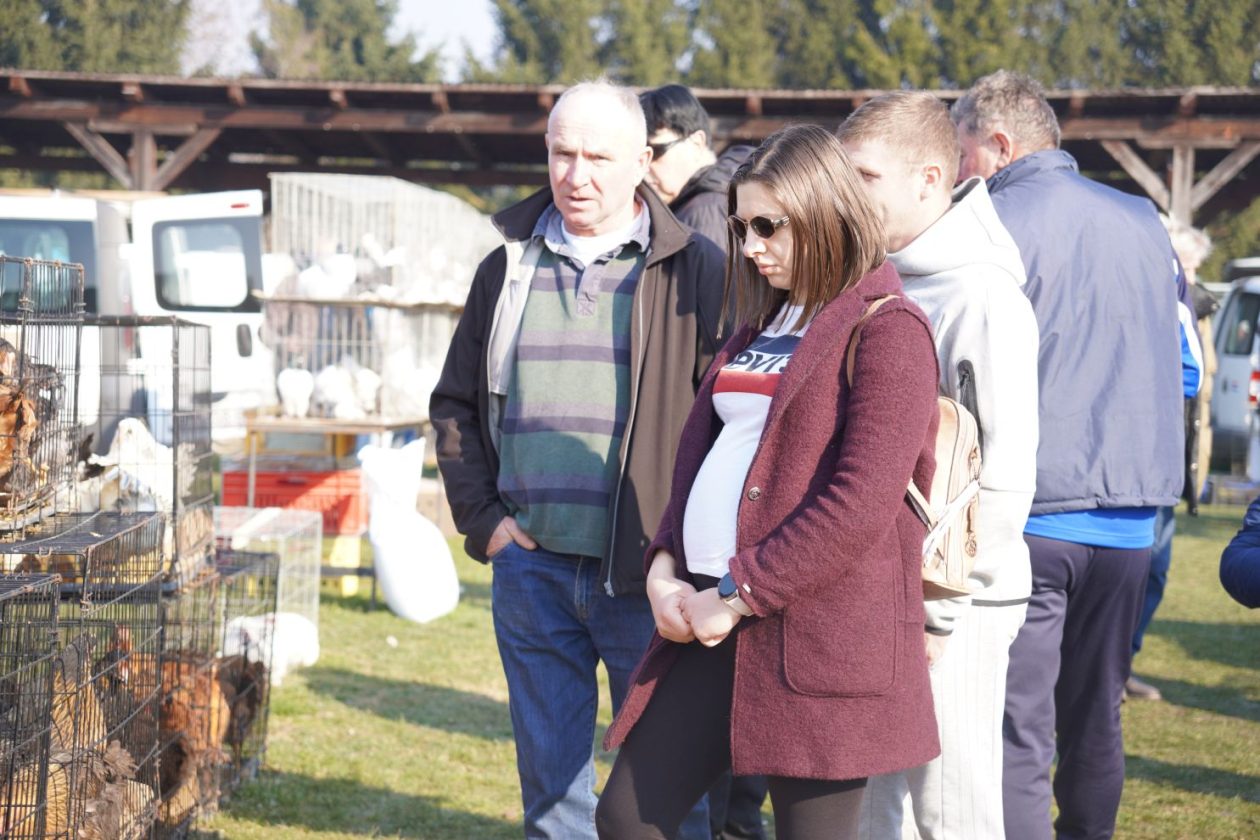 Izložba malih životinja MESAP 1.3.2026 (53) Izložba malih životinja MESAP 1.3.2026 (53)