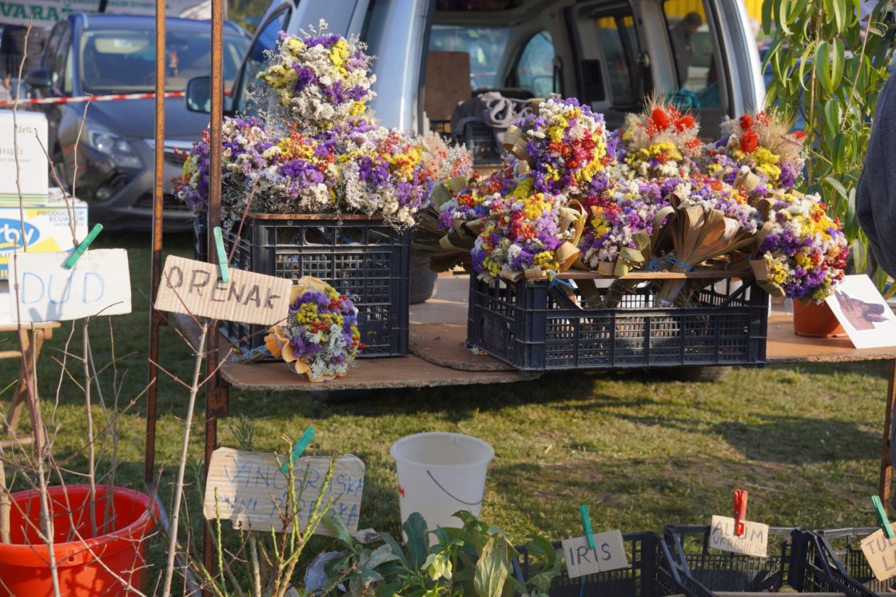 Izložba malih životinja MESAP 1.3.2026 (6) Izložba malih životinja MESAP 1.3.2026 (6)