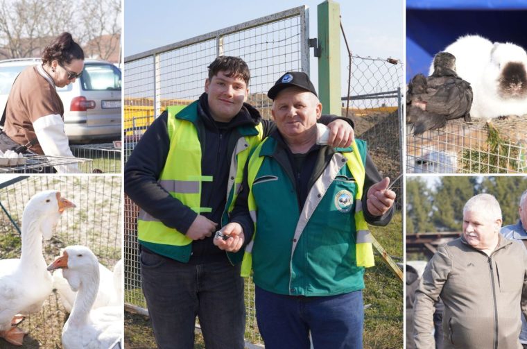 Izložba malih životinja Nedelišće