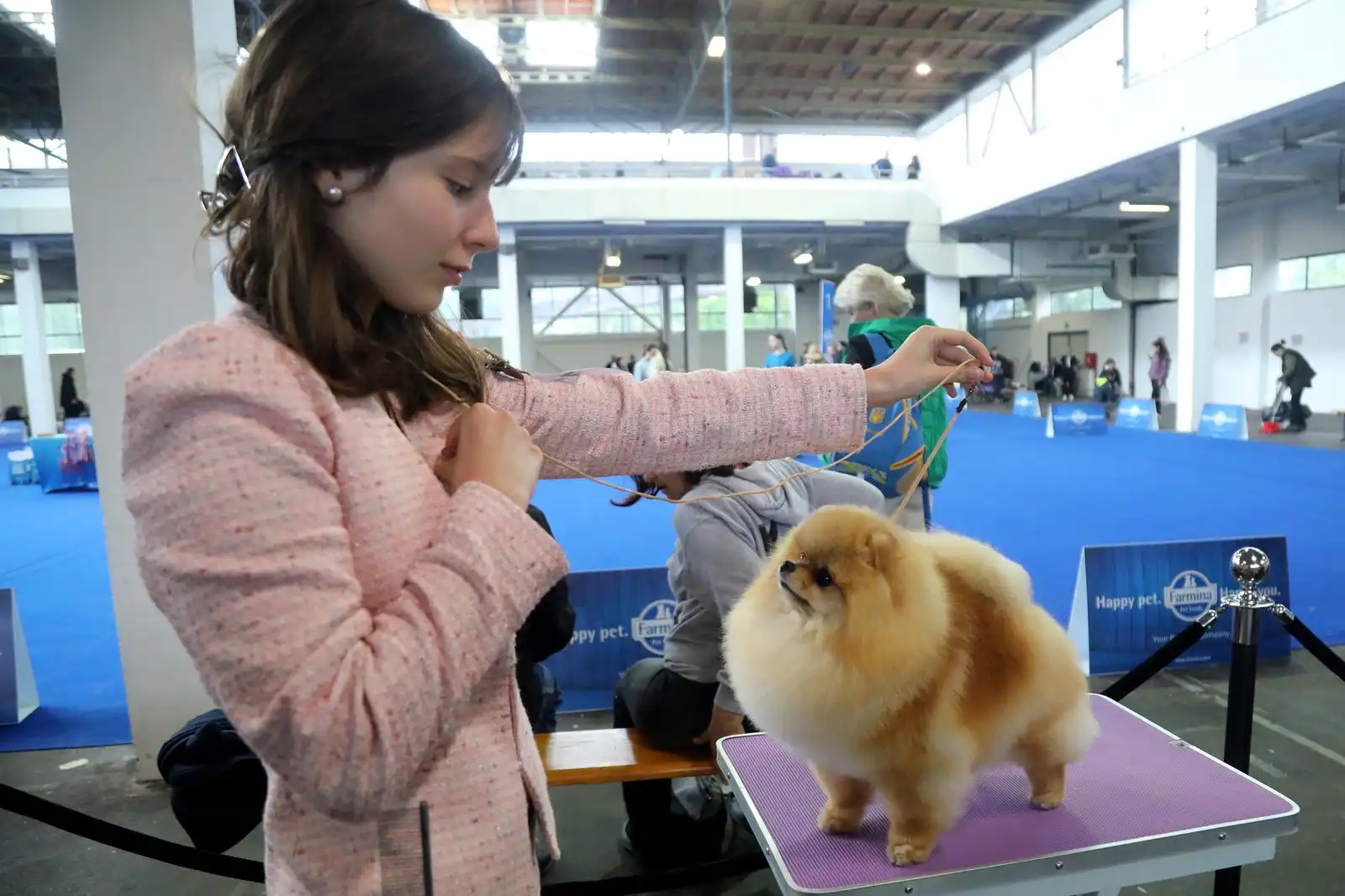 Izložba pasa 2024 (1)