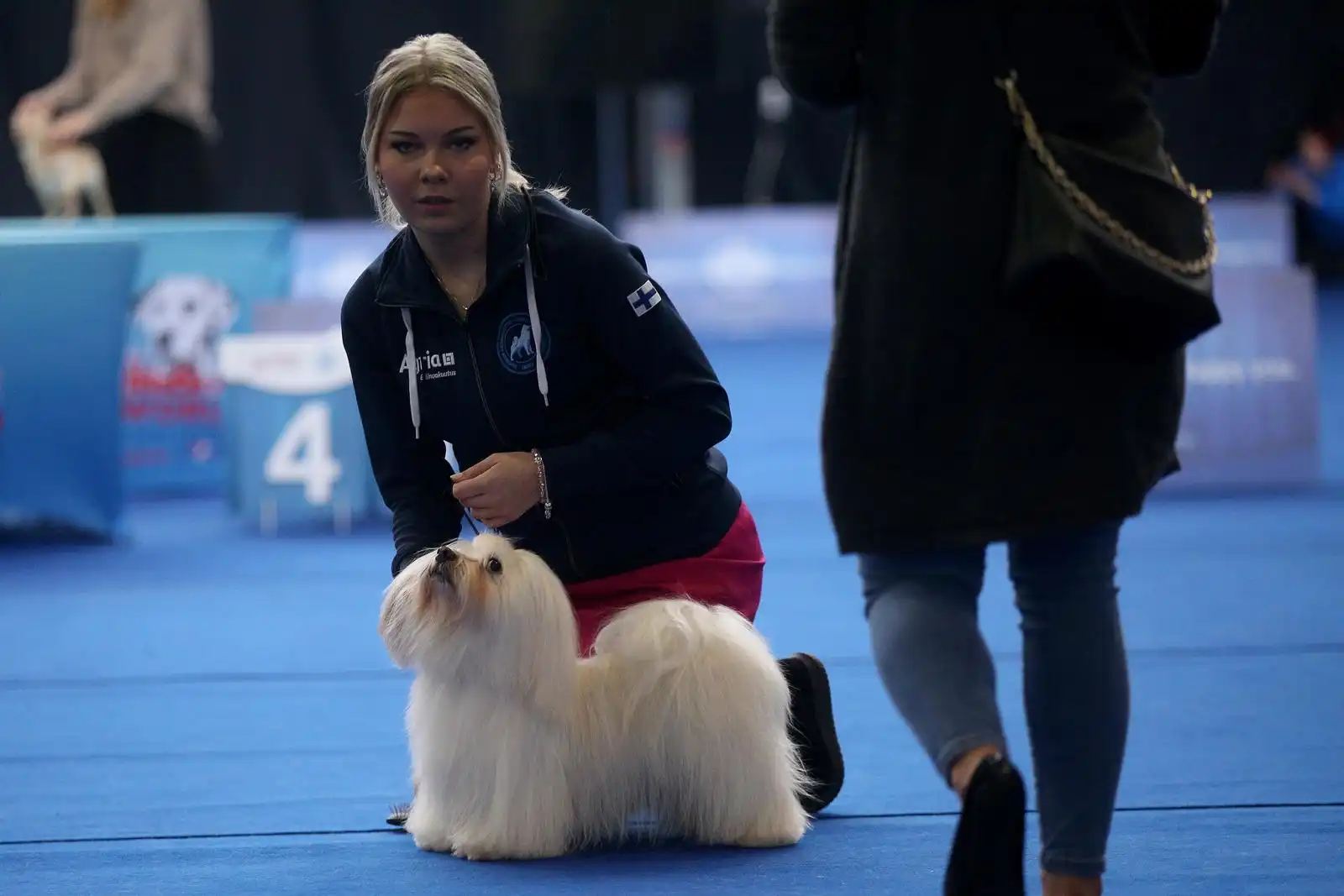 Izložba pasa 2024 (11)