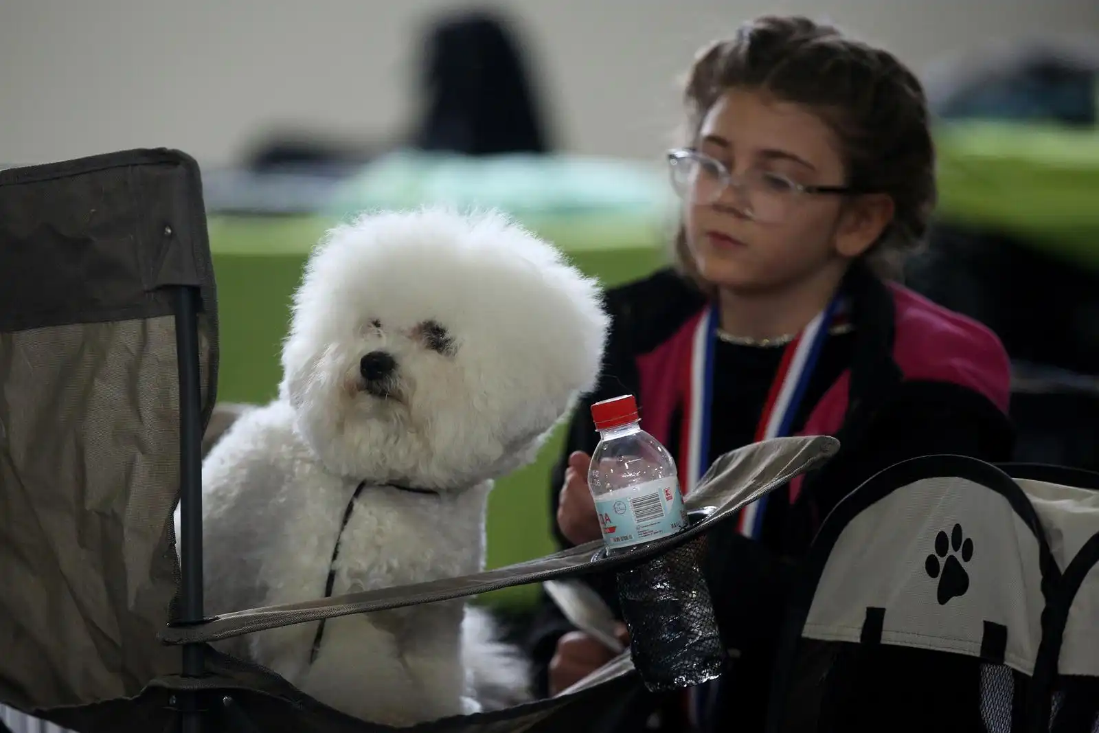 Izložba pasa 2024 (16)