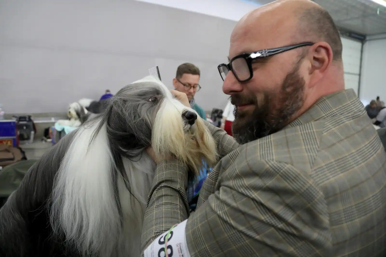 Izložba pasa 2024 (17)