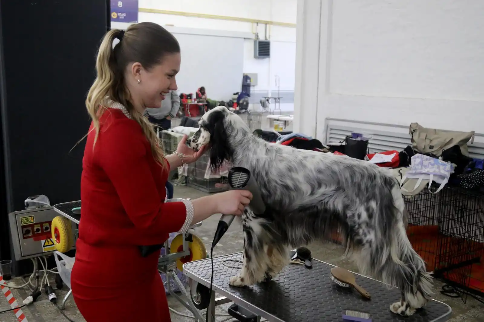 Izložba pasa 2024 (18)