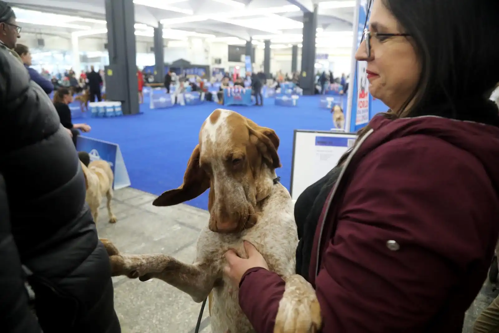 Izložba pasa 2024 (19)
