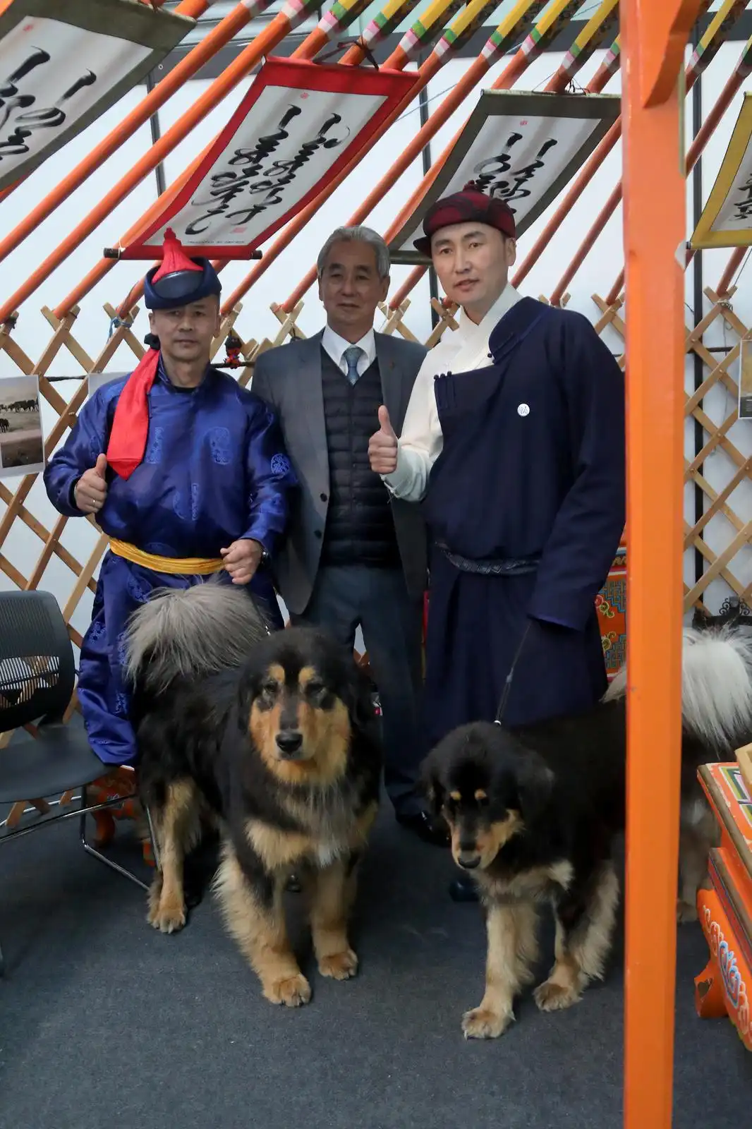 Izložba pasa 2024 (21)