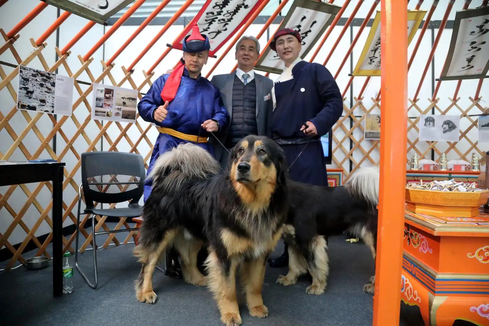 Izložba pasa 2024 (23)