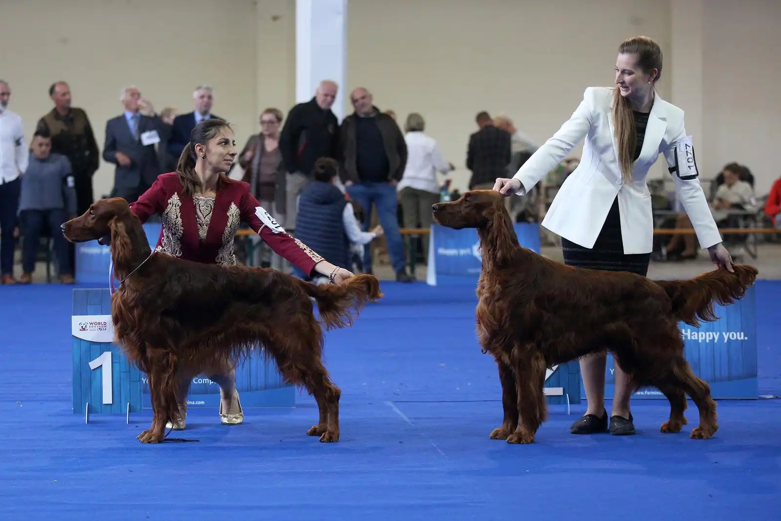 Izložba pasa 2024 (5)