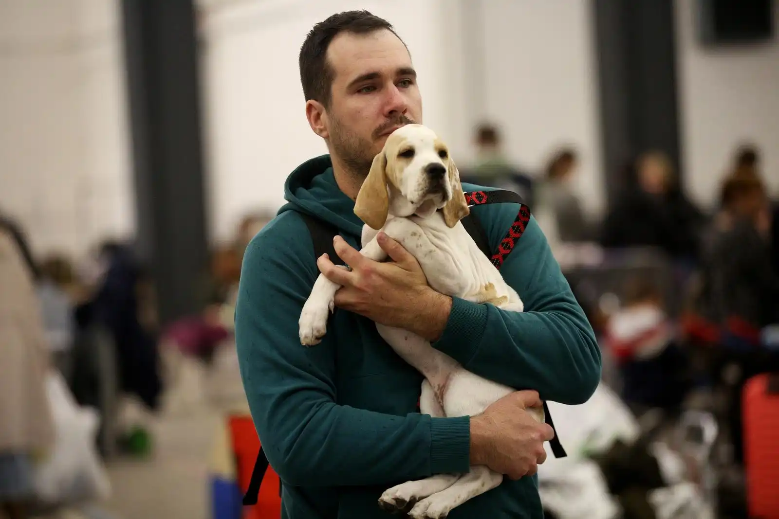 Izložba pasa 2024 (7)