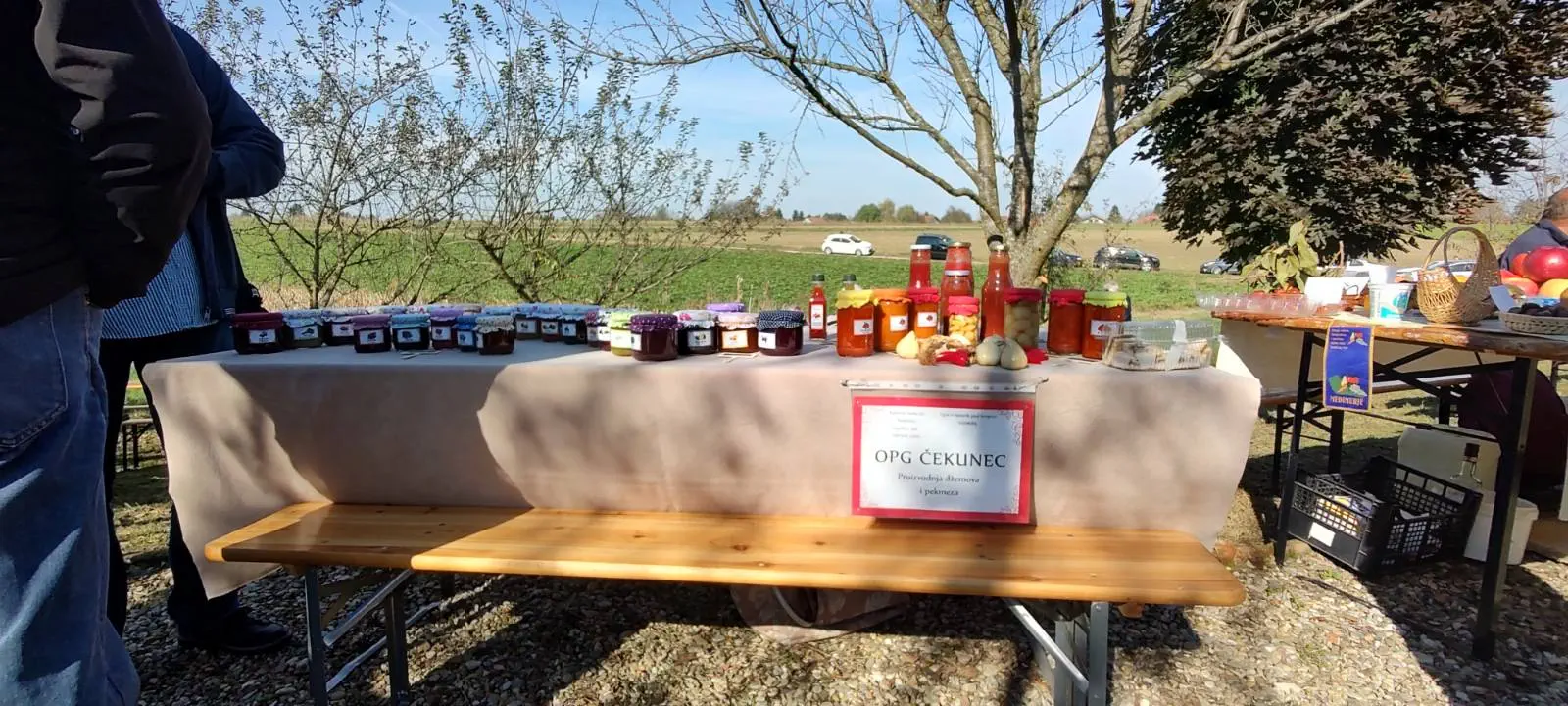 Izložba starih sorti jabuka u Brezovcu, (10)