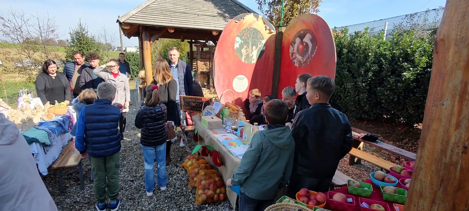 Izložba starih sorti jabuka u Brezovcu, (5)