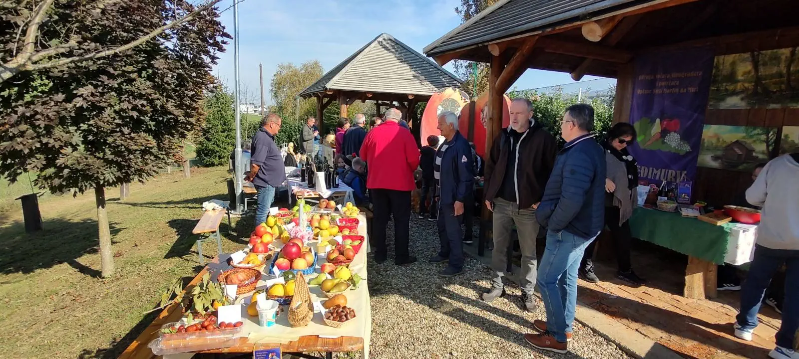 Izložba starih sorti jabuka u Brezovcu, (6)