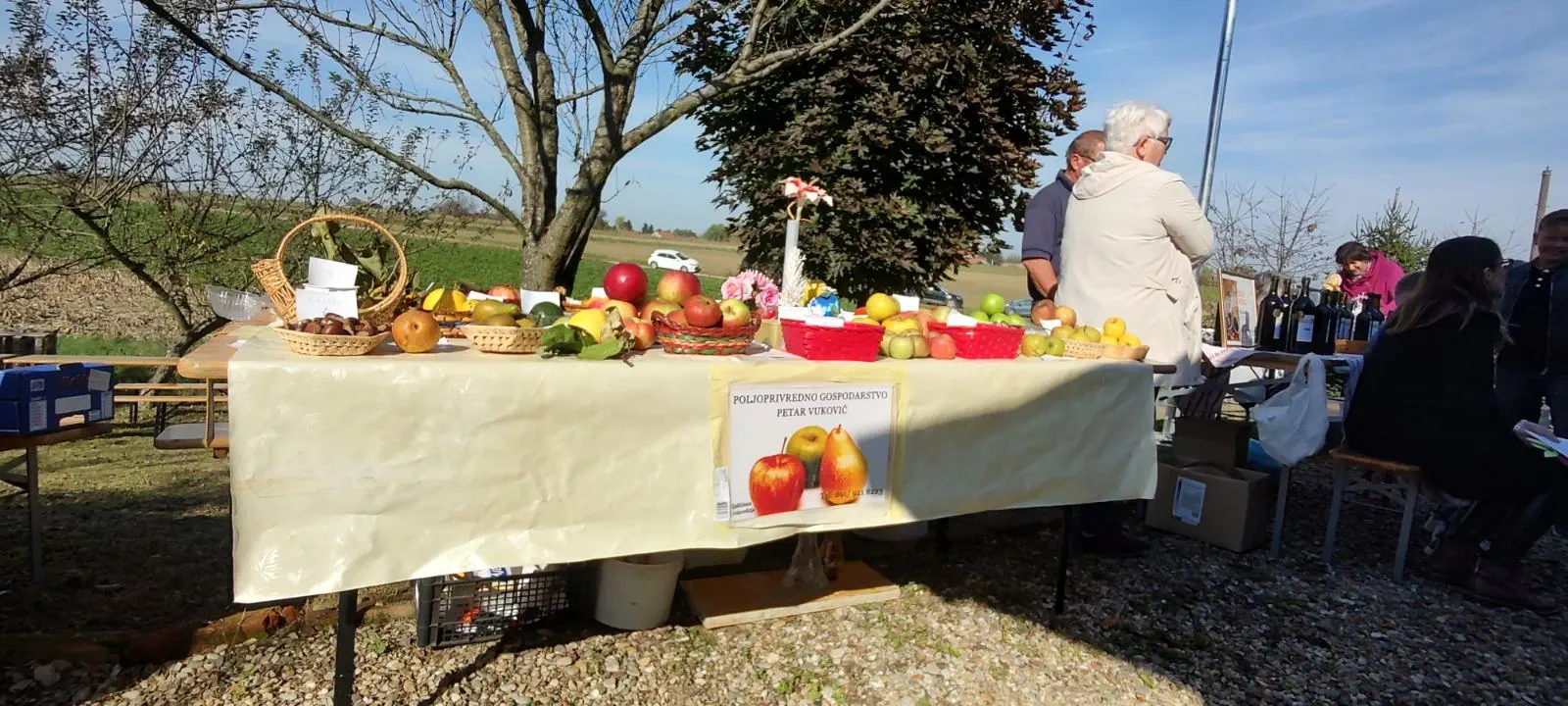 Izložba starih sorti jabuka u Brezovcu, (9)