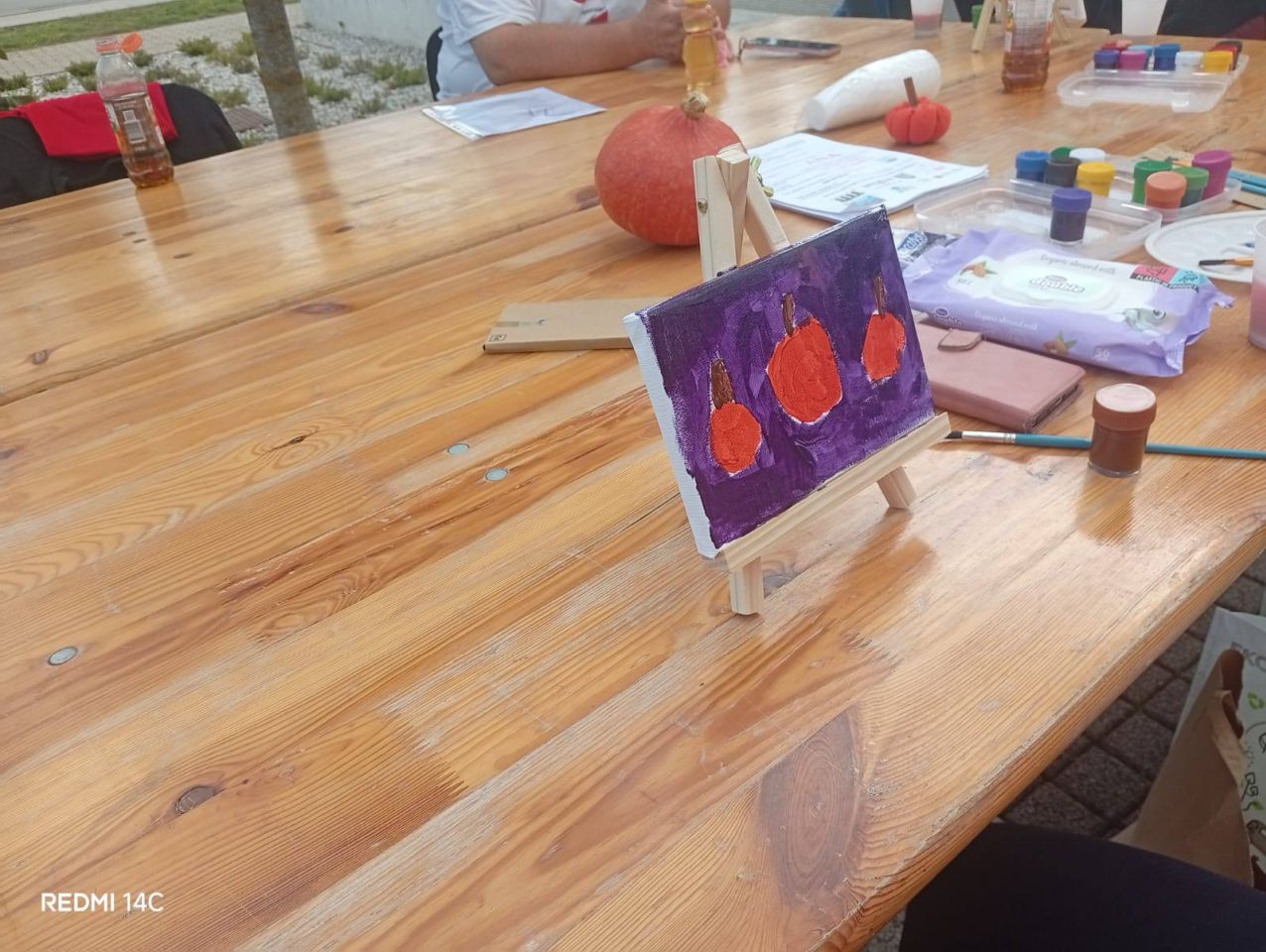 JESENSKA RADIONICA Mali umjetnici oslikavali bundeve na Sobočkom eko sajmu (7)