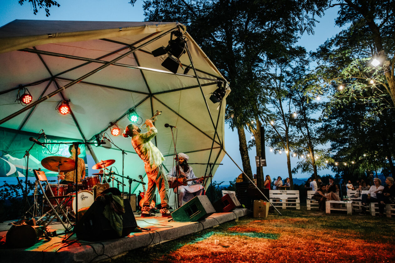 Jazz u vinogradu (4)