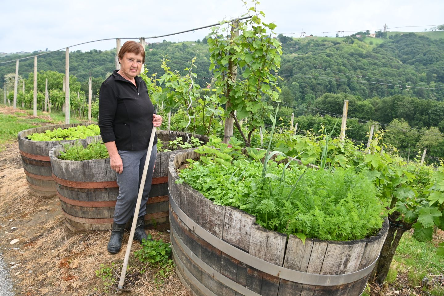 Jelena Dreven (2) Jelena Dreven (2)