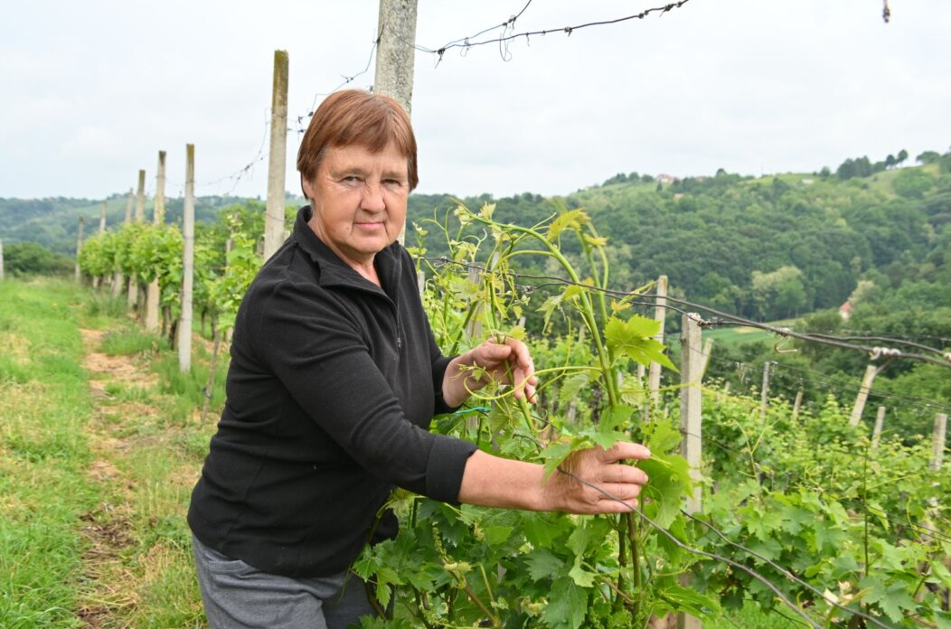 Jelena Dreven (5) Jelena Dreven (5)