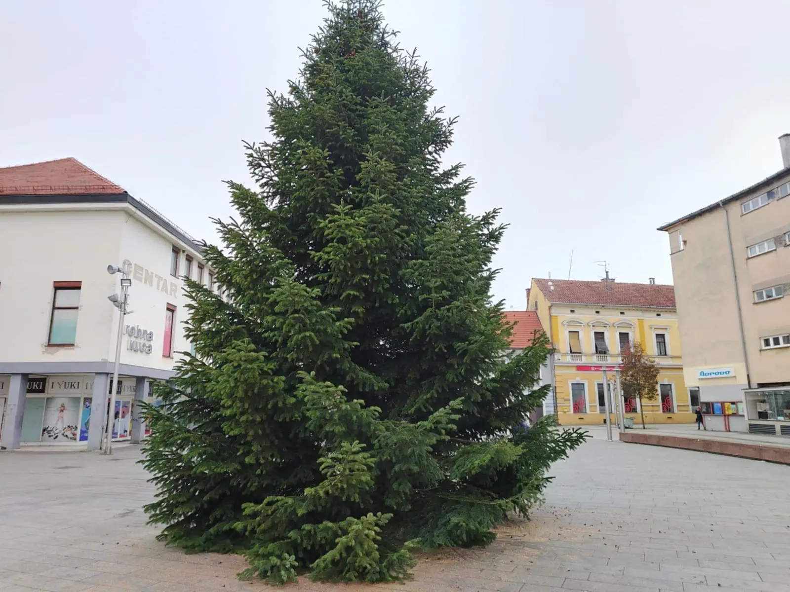 Jelka Franjevački trg Čakovec (2)