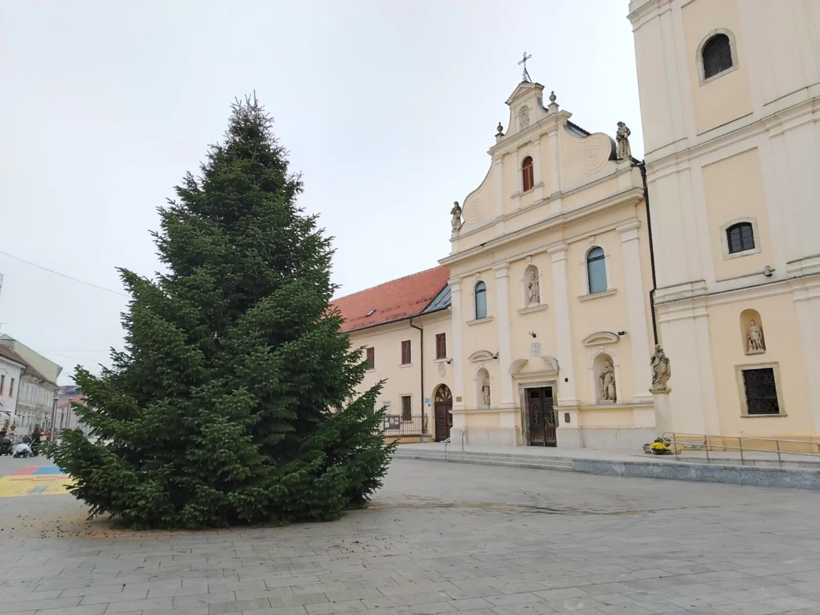 Jelka Franjevački trg Čakovec (3)