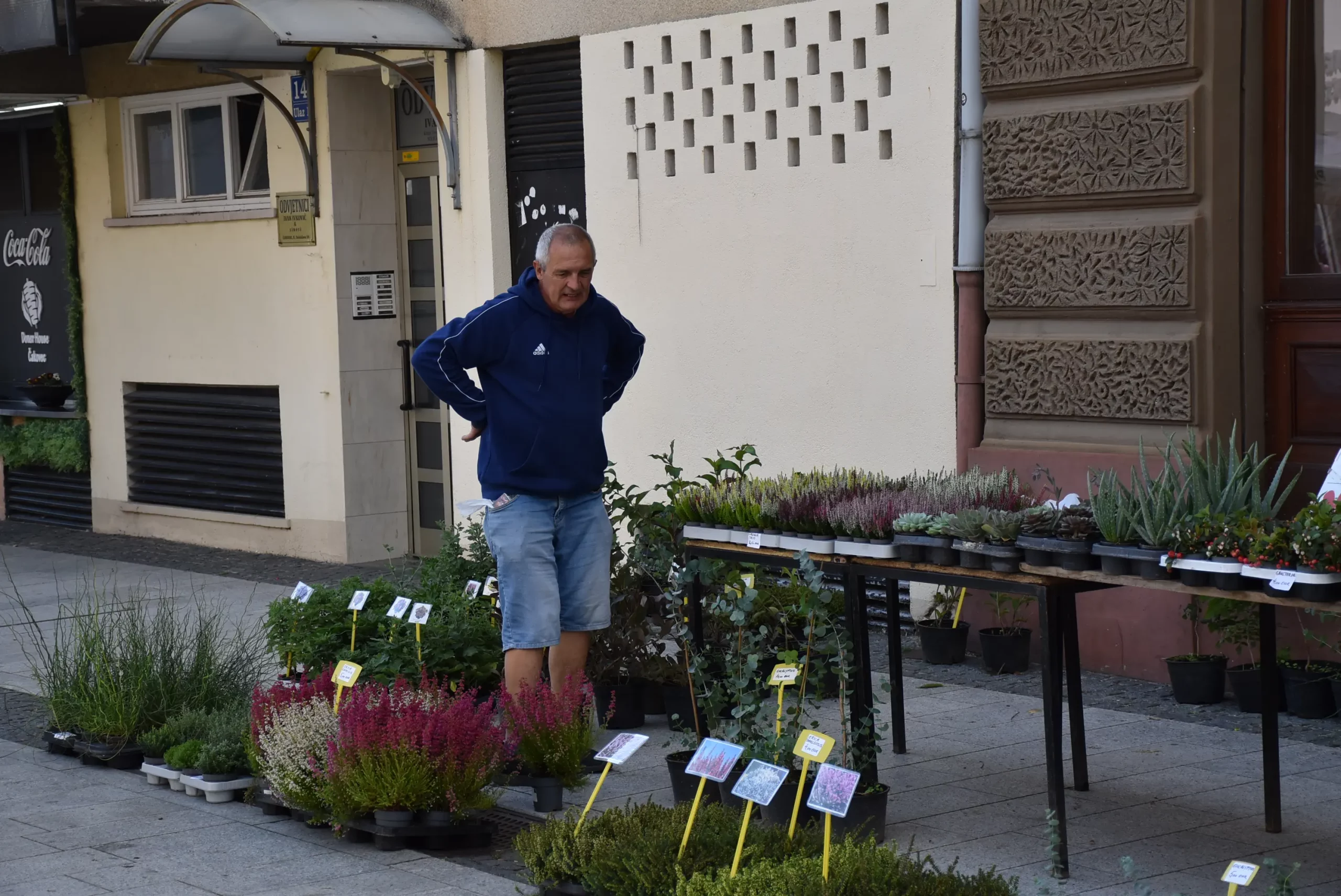 Jesenski sajam Čakovec 2024 (1)