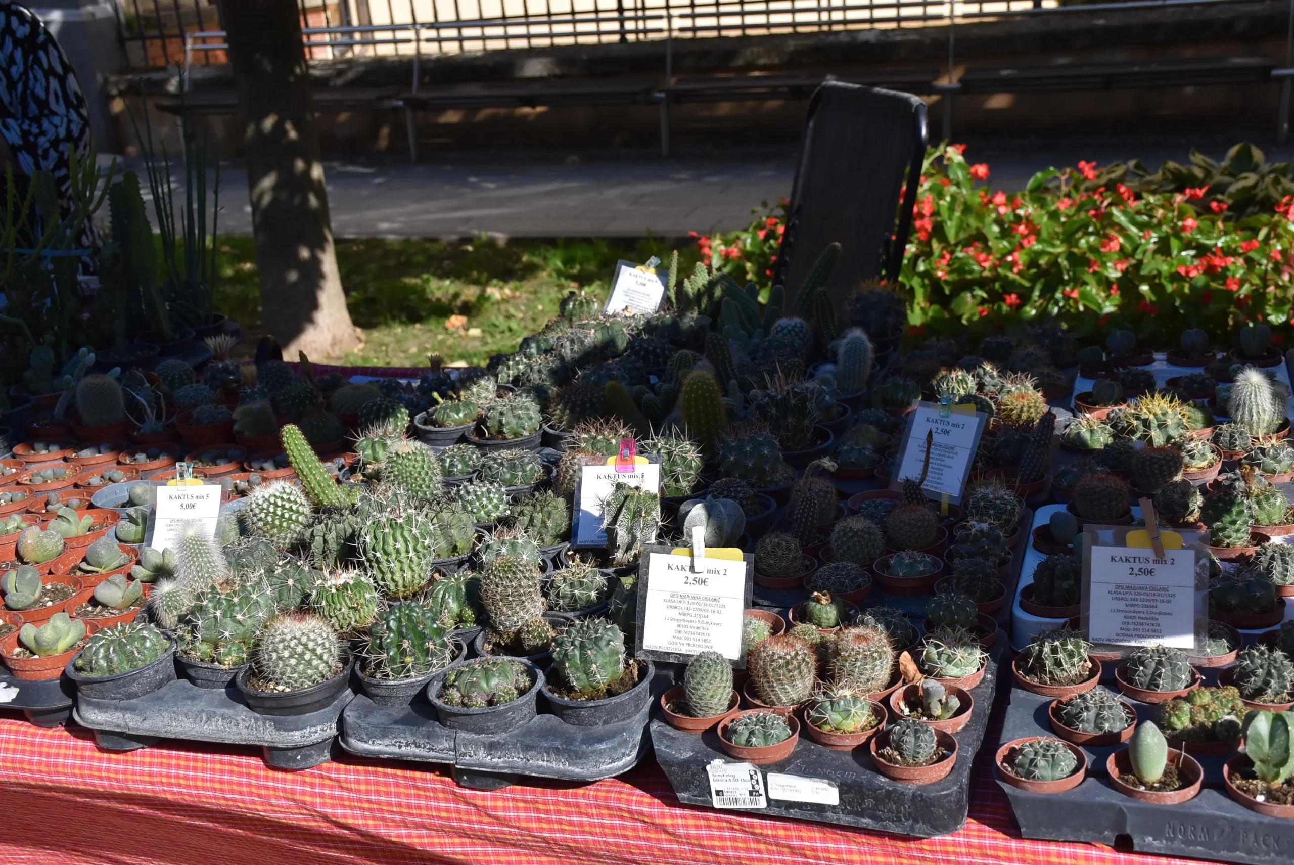 Jesenski sajam Čakovec 2024 (22)