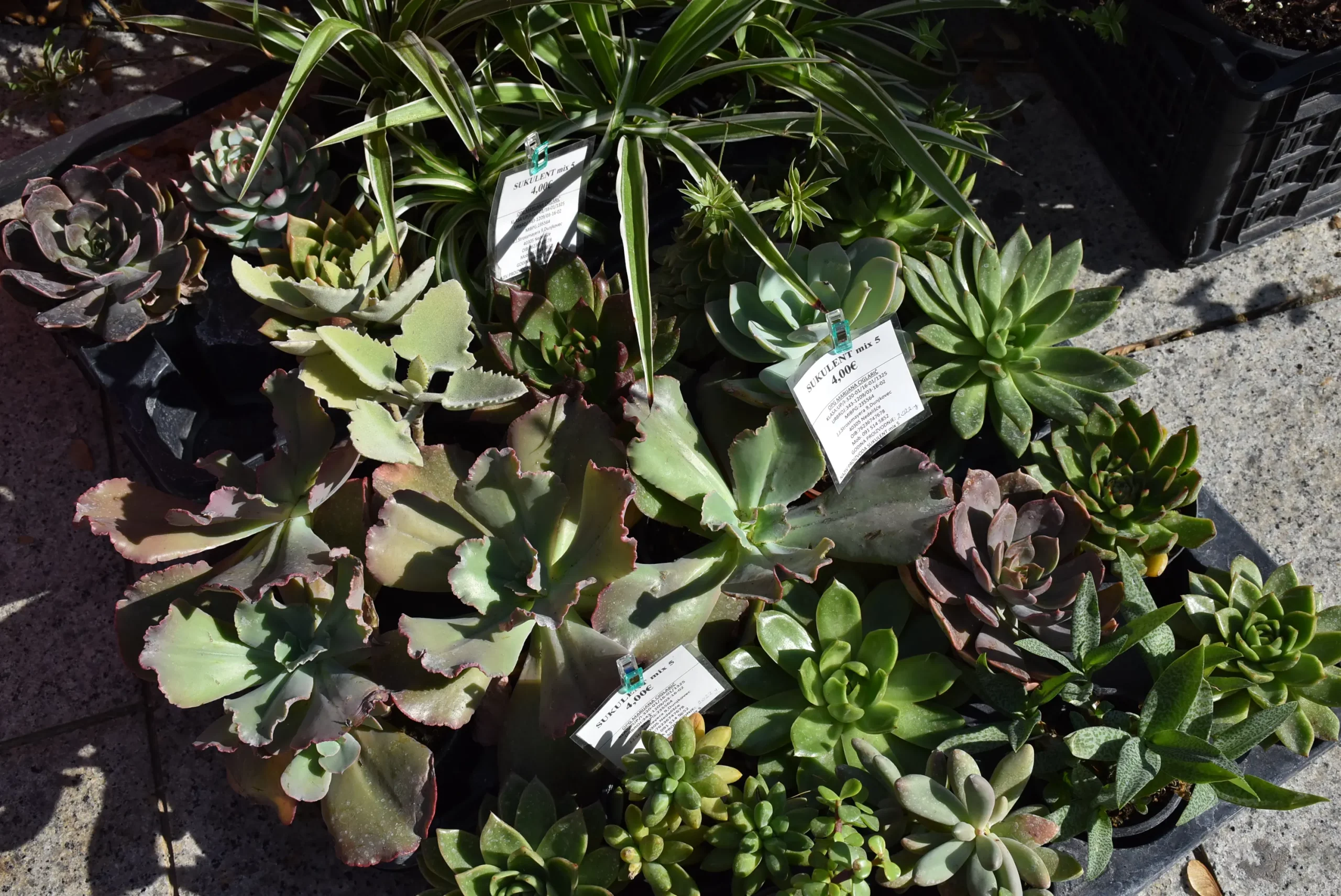 Jesenski sajam Čakovec 2024 (23)