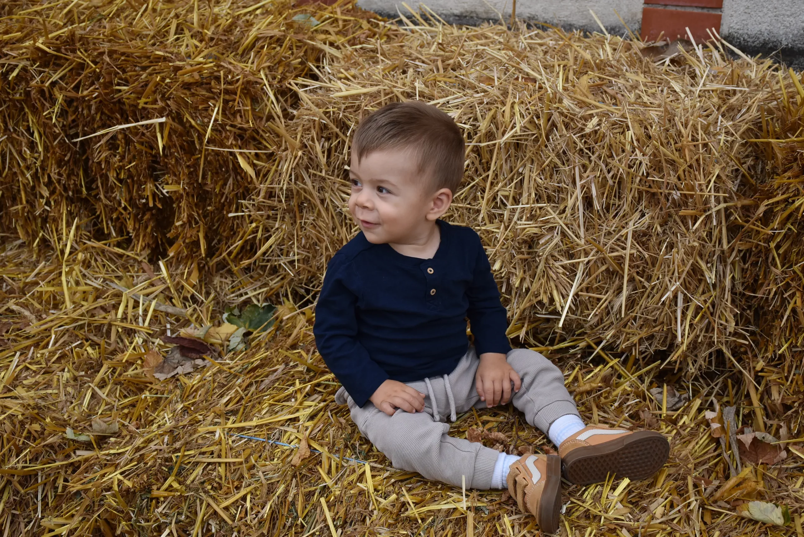 Jesenski sajam Čakovec 2024 (66)