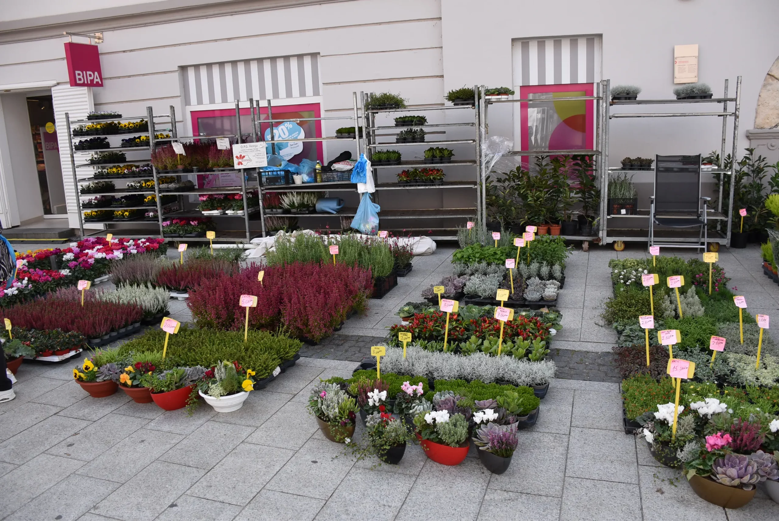 Jesenski sajam Čakovec 2024 (70)