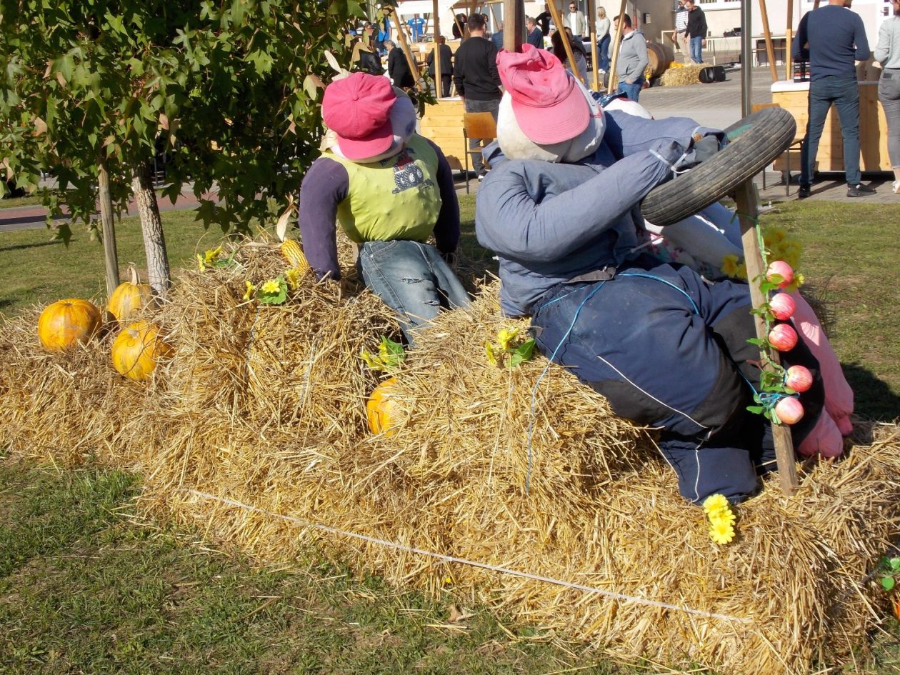 Jesenski sajam Krištanovec 2025 (4)