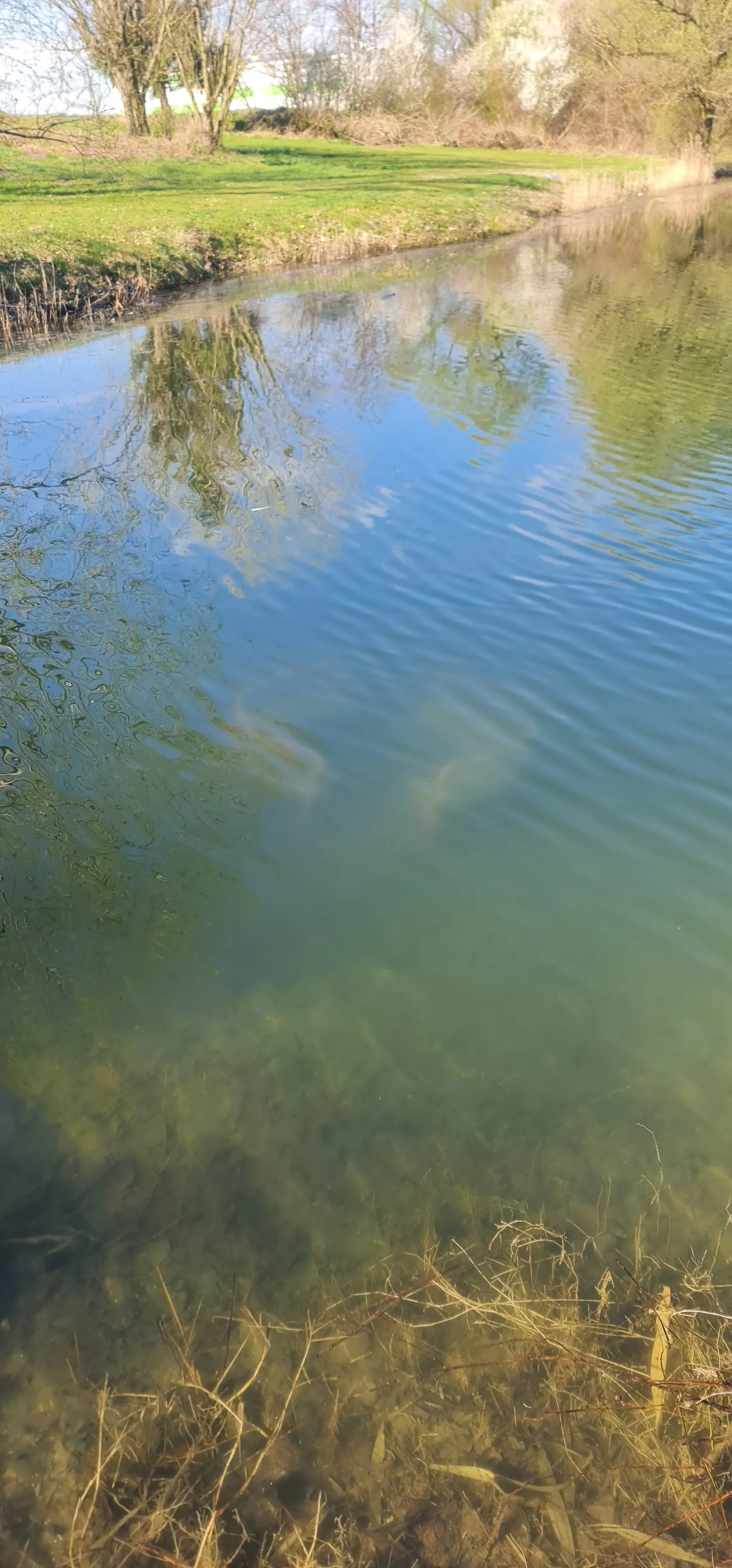 Jezero Mičigen (4) Jezero Mičigen (4)