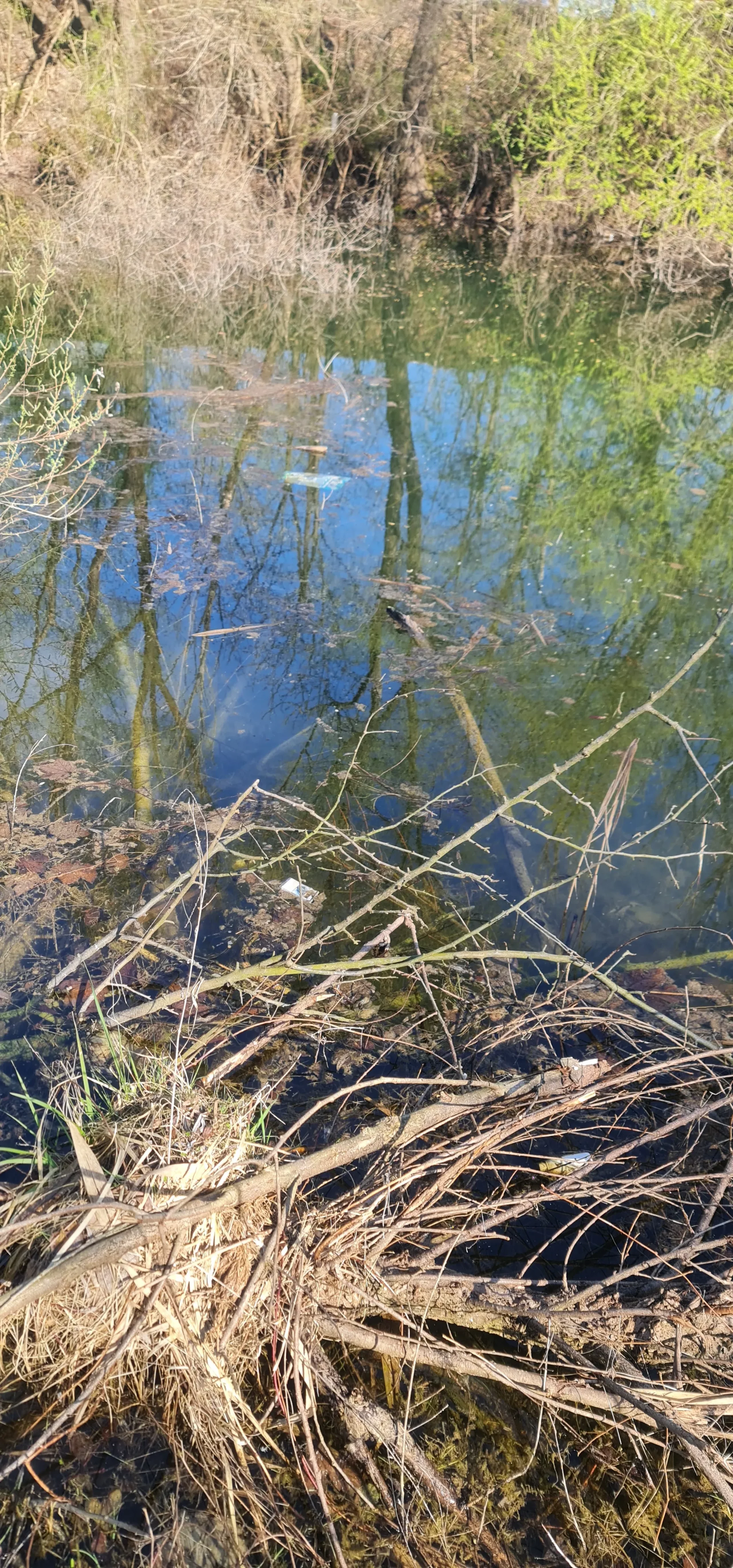 Jezero Mičigen (7) Jezero Mičigen (7)