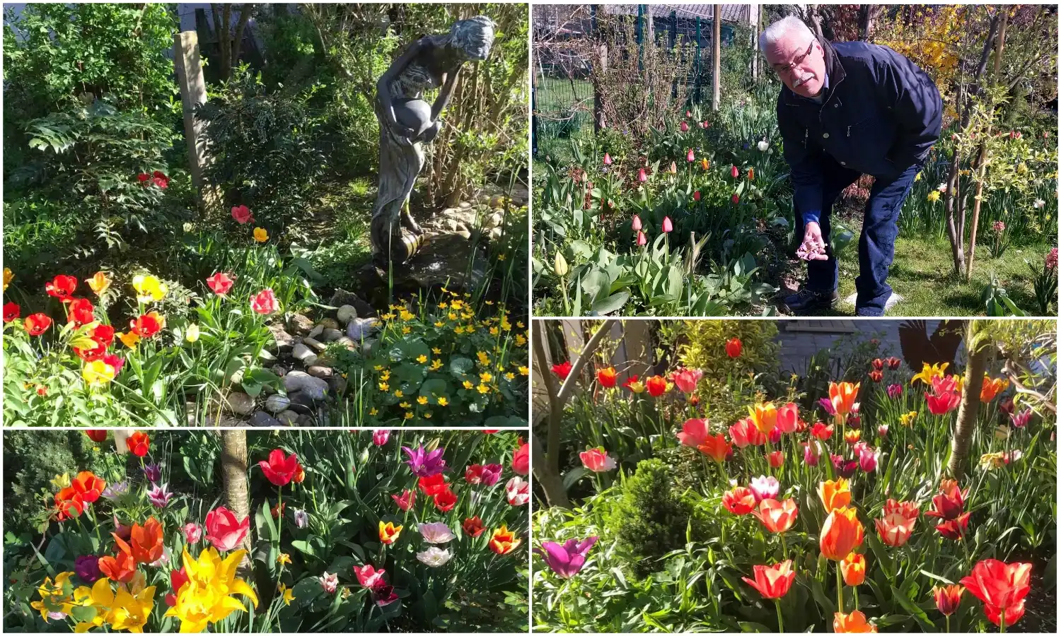 Josip Ožegović iz Šenkovca