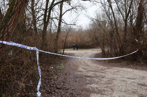 Josip Špoljar, potraga (3)