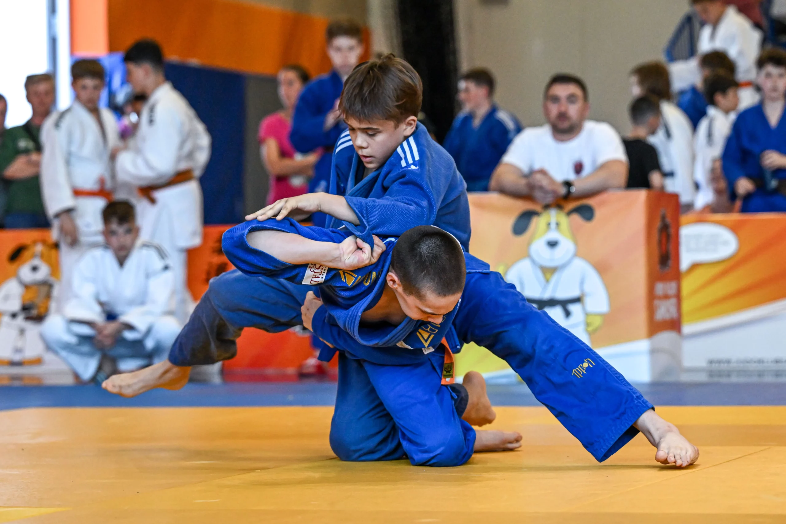 Judo klub Zrinski (4) Judo klub Zrinski (4)