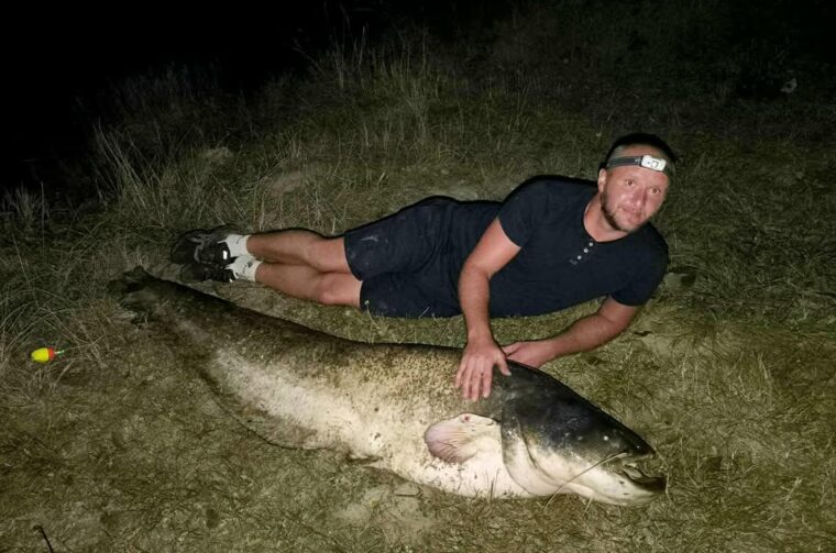 KAPITALNI SOM Antun Novak iz Dekanovca ulovio riječnog diva od 64 kilograma (2)