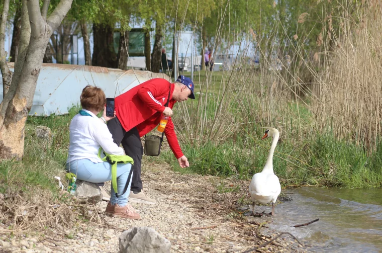 KLIKOM PO MARINI 12-4-2026 (51) KLIKOM PO MARINI 12-4-2026 (51)