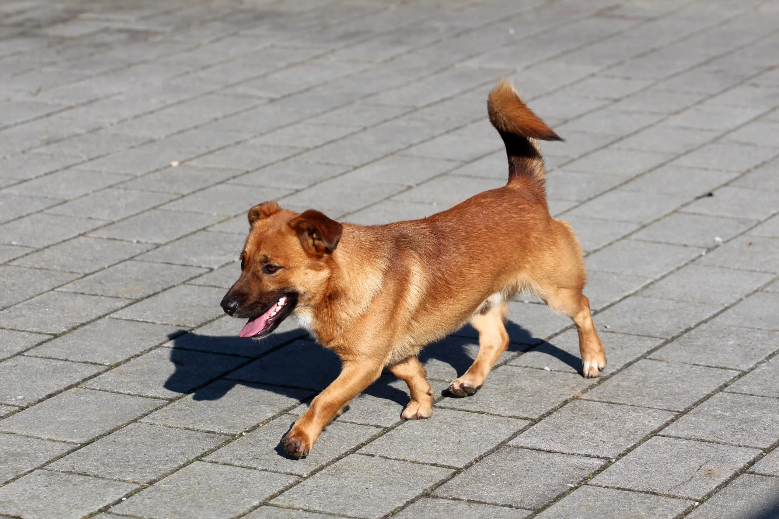 KLIKOM UZ MURU (20) KLIKOM UZ MURU (20)