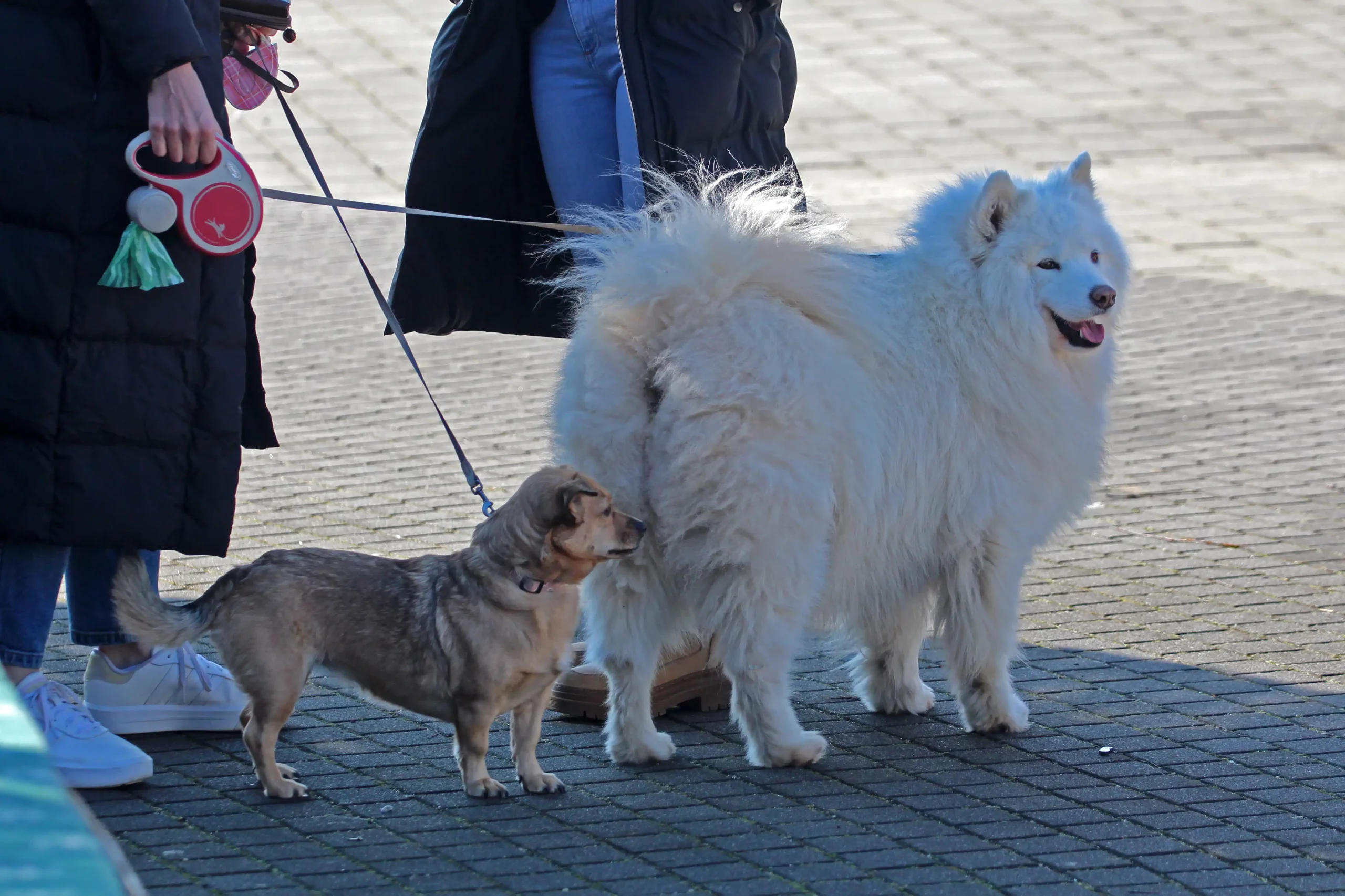 KLIKOM UZ MURU (6) KLIKOM UZ MURU (6)