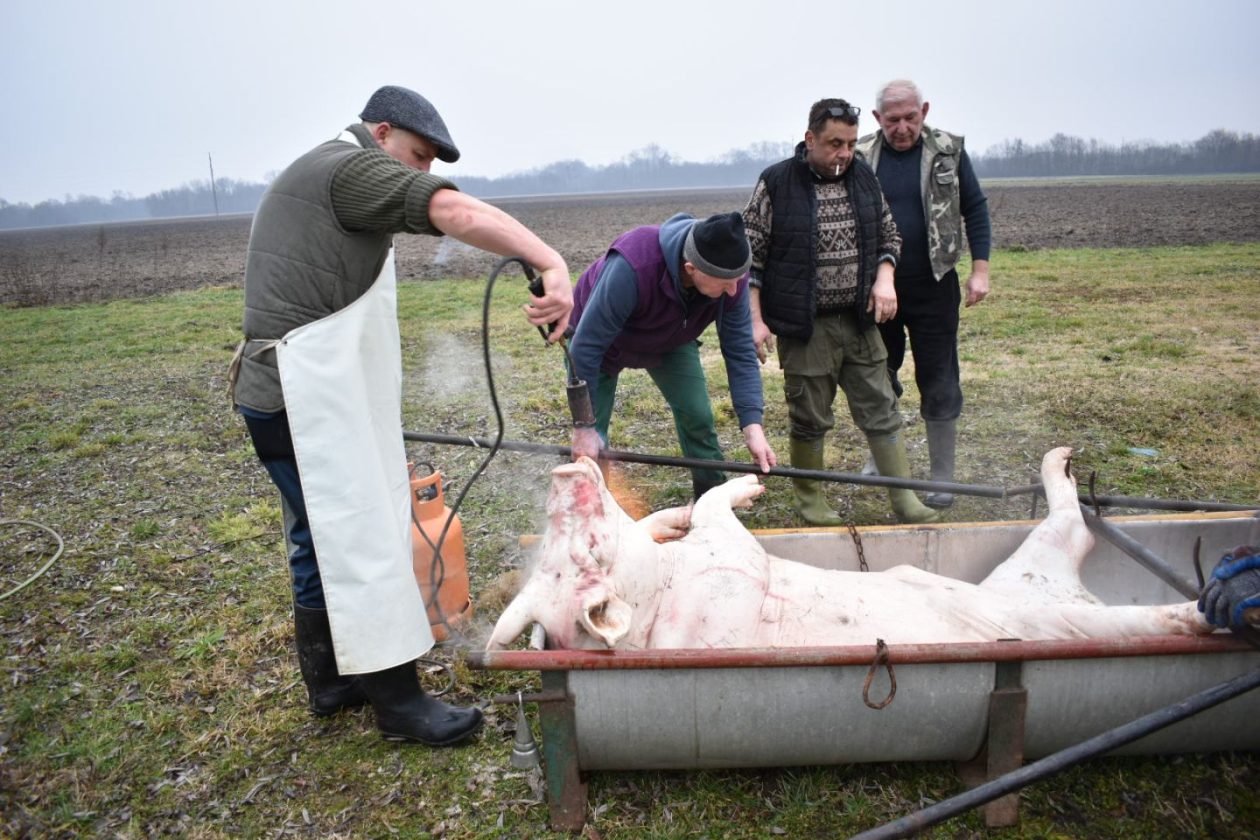 KOLINJE U ČUKOVCU U tijeku je druženje uz stare običaje i autentična jela (1)