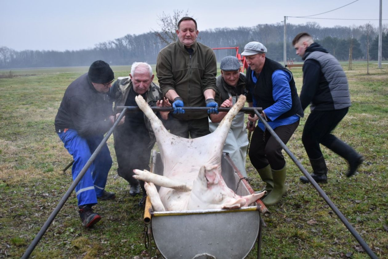 KOLINJE U ČUKOVCU U tijeku je druženje uz stare običaje i autentična jela (2)