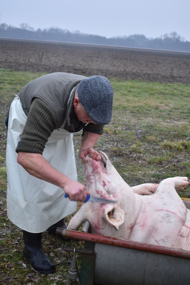 KOLINJE U ČUKOVCU U tijeku je druženje uz stare običaje i autentična jela (21)