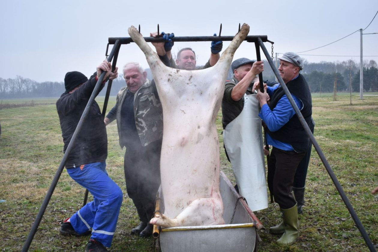 KOLINJE U ČUKOVCU U tijeku je druženje uz stare običaje i autentična jela (3)