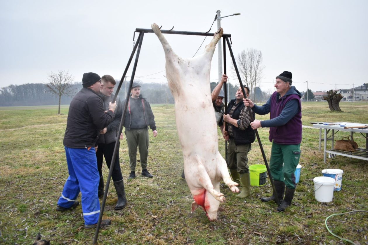KOLINJE U ČUKOVCU U tijeku je druženje uz stare običaje i autentična jela (5)